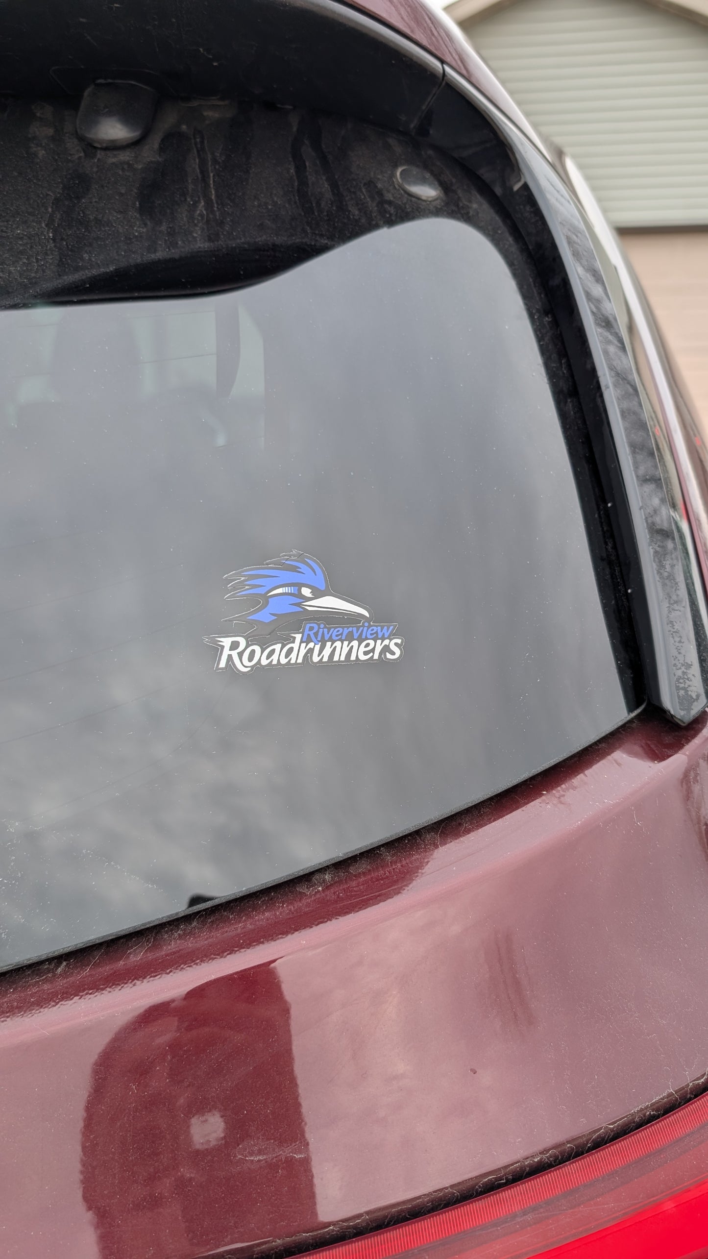 Window or Multiple Use Roadrunner Sticker